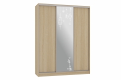 Шкаф-купе Мебельсон Бассо 1-600 птицы SK-01B33 дуб сонома