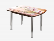 Стол Можгинский лесокомбинат Бостон 2, ф/п Орхидея на воде/венге/хром брифинг