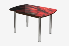 Стол овальный Можгинский лесокомбинат Бостон Красная гербера, 900600 мм, фотопечать/венге/хром брифинг