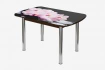 Стол овальный Можгинский лесокомбинат Бостон Розовая орхидея, 900600 мм, фотопечать/венге/хром брифинг