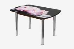 Стол овальный Можгинский лесокомбинат Бостон Розовая орхидея, 900600 мм, фотопечать/венге/хром брифинг