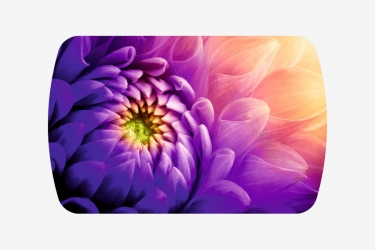 Стол раздвижной Можгинский лесокомбинат Бостон-3 ф/п Астра, 1100700 мм, белый/хром брифинг