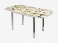 Стол Можгинский лесокомбинат Бостон-3 раздвижной, фотопечать Розы/белый/хром брифинг