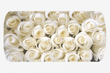 Стол Можгинский лесокомбинат Бостон-3 раздвижной, фотопечать Розы/белый/хром брифинг