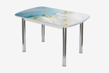 Стол овальный Можгинский лесокомбинат Бостон Белая орхидея, 900600 мм, белая орхидея/белый/хром брифинг