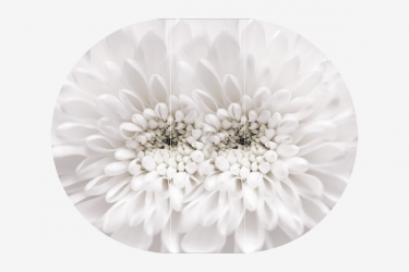 Стол круглый Можгинский лесокомбинат Бостон раздвижной, фотопечать Флоренс/белый/хром брифинг