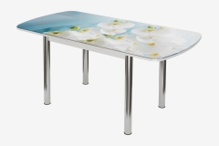 Стол Можгинский лесокомбинат Бостон-3 Белая орхидея, раздвижной, фотопечать/белый/хром брифинг