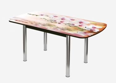 Стол Можгинский лесокомбинат Бостон-3 раздвижной, фотопечать Орхидея на воде/венге/хром брифинг