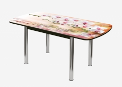 Стол Можгинский лесокомбинат Бостон-3 раздвижной, фотопечать Орхидея на воде/венге/хром брифинг