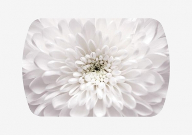 Стол Можгинский лесокомбинат Бостон-3 раздвижной, Флоренс, фотопечать/хром брифинг