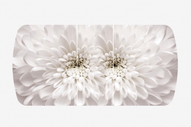 Стол Можгинский лесокомбинат Бостон-3 раздвижной, Флоренс, фотопечать/хром брифинг