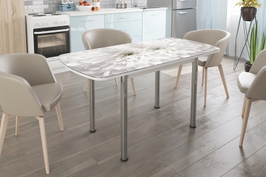 Стол Можгинский лесокомбинат Бостон-3 раздвижной, Флоренс, фотопечать/хром брифинг