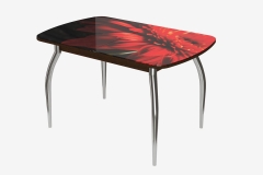 Стол овальный Можгинский лесокомбинат Бостон-2 Красная гербера/венге 1100700 мм, хром триумф