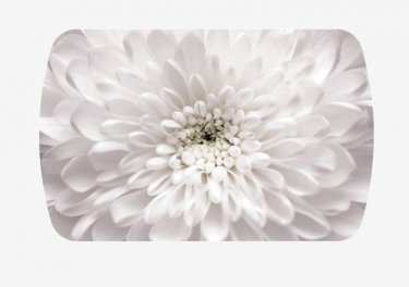 Стол овальный Можгинский лесокомбинат Бостон 2 Флоренс, белый/фотопечать/хром триумф