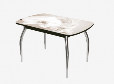 Стол Можгинский лесокомбинат Бостон ф/п Лунная орхидея, 900600 мм, венге/хром триумф