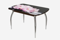 Стол овальный Можгинский лесокомбинат Бостон Розовая орхидея, 900600 мм, фотопечать/венге/хром триумф