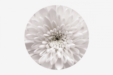 Стол круглый Можгинский лесокомбинат Бостон раздвижной, фотопечать Флоренс/белый/хром триумф