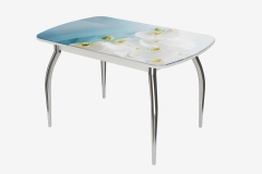 Стол Можгинский лесокомбинат Бостон-3 Белая орхидея, раздвижной, фотопечать/белый/хром триумф