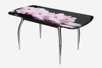 Стол Можгинский лесокомбинат Бостон-3 Розовая орхидея, раздвижной, фотопечать/венге/хром триумф