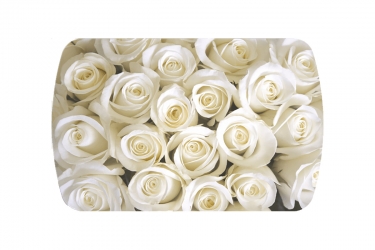 Стол раздвижной Можгинский лесокомбинат Бостон-3 ф/п Розы, 1100700 мм, белый/хром триумф