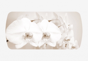 Стол раздвижной Можгинский лесокомбинат Бостон-3 ф/п Лунная орхидея, 1100700 мм, венге/хром триумф