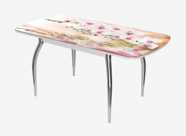 Стол Можгинский лесокомбинат Бостон-3 раздвижной, фотопечать Орхидея на воде/белый/хром триумф