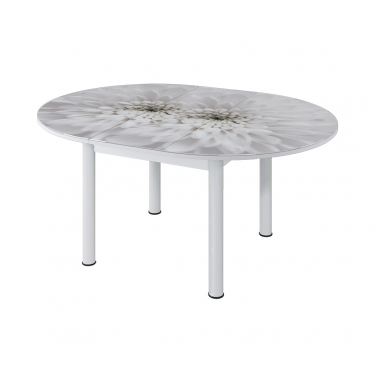 Стол круглый Можгинский лесокомбинат Бостон раздвижной, фотопечать Флоренс/белый/белые опоры брифинг