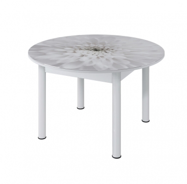 Стол круглый Можгинский лесокомбинат Бостон раздвижной, фотопечать Флоренс/белый/белые опоры брифинг