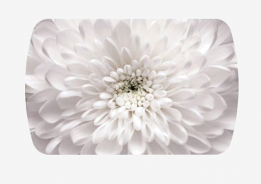 Стол раздвижной Можгинский лесокомбинат Бостон-3, 1100700 мм, фотопечать Флоренс/белый/опоры белые брифинг