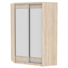Шкаф-купе Аларти YA-230х1400-718-1ДСС-D2D2