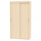 Шкаф-купе Аларти T-1-230х120х45-MЯАС-2