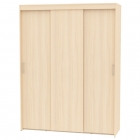 Шкаф-купе Аларти T-3-230х175х60ДМ-9