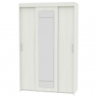 Шкаф-купе Аларти T-3-230х145х60-MВД-4