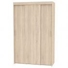 Шкаф-купе Аларти T-3-230х145х60-MДСС-13