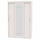 Шкаф-купе Аларти T-3-230х145х60-MЯАС-7