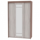 Шкаф-купе Аларти T-3-230х145х60-MЯШТ-ЯШС-12