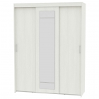 Шкаф-купе Аларти T-3-230х175х60-MВД-3