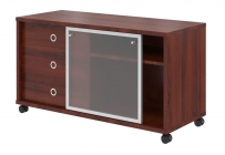 Тумба мобильная с дверью купе Skyland В 202.2 Бургунди