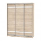 Шкаф-купе Аларти B-230х180х60-2ДСС-D9D9D9