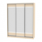 Шкаф-купе Аларти B-230х180х60-3ДМ-D10D10D10