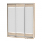 Шкаф-купе Аларти B-230х180х60-3ДСС-D10D10D10