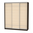 Шкаф-купе Аларти B-230х200х60-1Венге-ДМ-D7D7D7