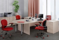 Набор Альтерна Референт 8 орех Аликанте