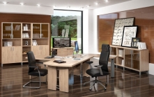 Кабинет руководителя Skyland БОРН набор 6 Венге магия