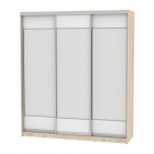 Шкаф-купе Аларти B-230х200х60-2ДСС-Белый-D8D8D8