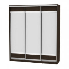 Шкаф-купе Аларти B-230х200х60-2Венге-D10D10D10