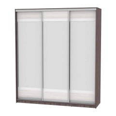 Шкаф-купе Аларти B-230х200х60-2ЯАТ-ЯАС-D10D10D10