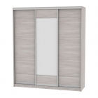 Шкаф-купе Аларти B-230х200х60-2ЯШС-D7D8D7