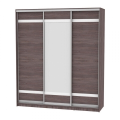 Шкаф-купе Аларти B-230х200х60-2ЯАТ-D9D10D9