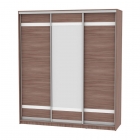 Шкаф-купе Аларти B-230х200х60-2ЯШТ-D9D10D9